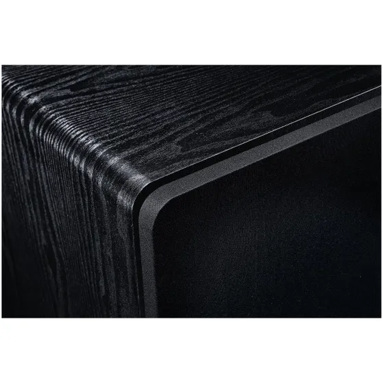 Magnat Alpha RS 12 Zwart