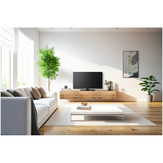 Panasonic TV-40S55AEZC