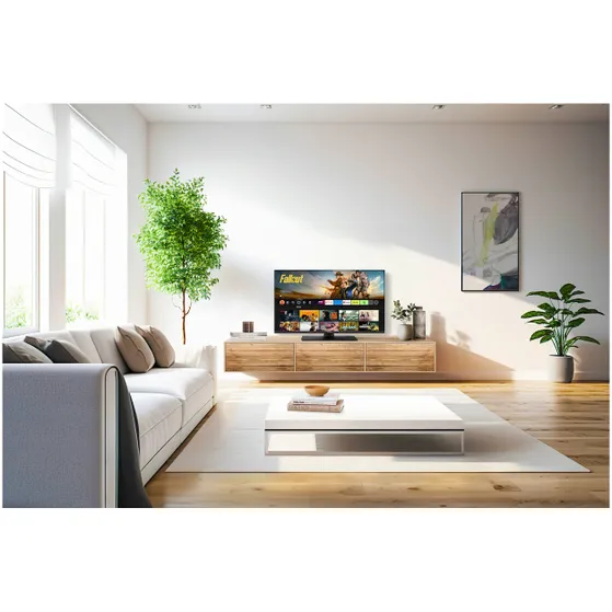 Panasonic TV-40S55AEZC