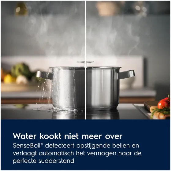 Electrolux E9HOECPS Zwart