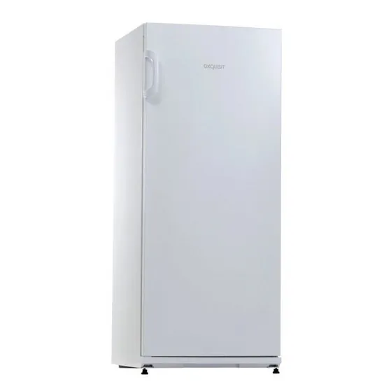 Exquisit KS290-V-280EI RVS