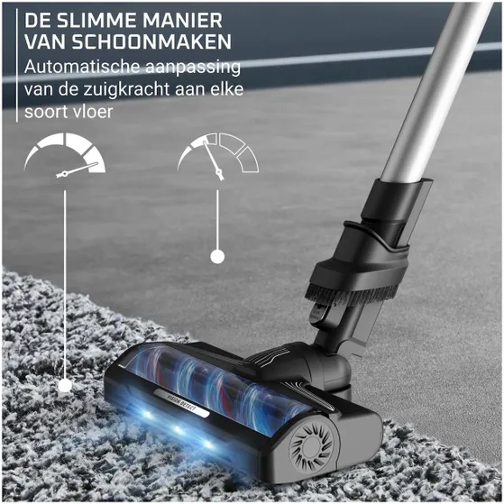 Rowenta RH7A36 X-Force Flex 10.80/Allergie
