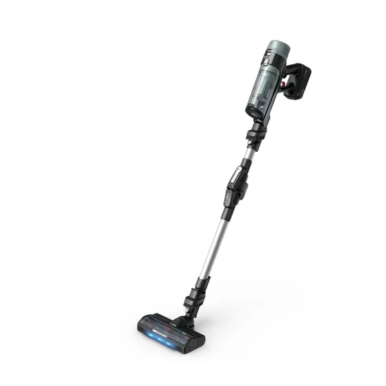 Rowenta RH7A36 X-Force Flex 10.80/Allergie