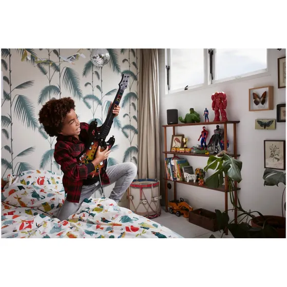 Denon HOME 150 Zwart