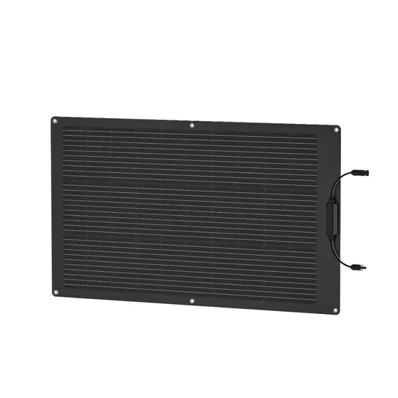 Ecoflow 100W Solar Panel (Flexible)