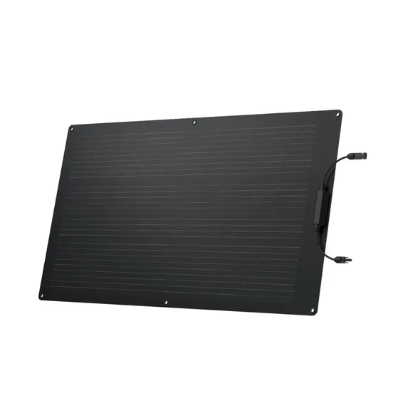 Ecoflow 100W Solar Panel (Flexible)