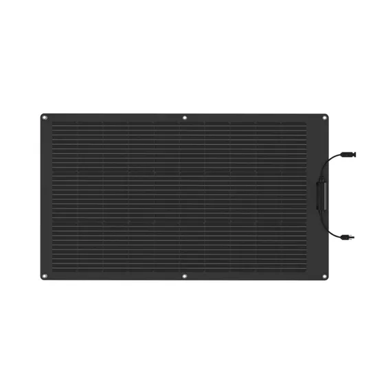 Ecoflow 100W Solar Panel (Flexible)
