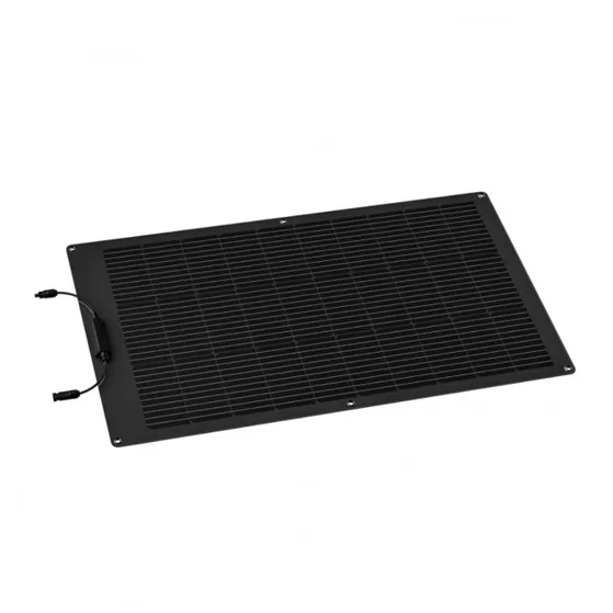 Ecoflow 100W Solar Panel (Flexible)