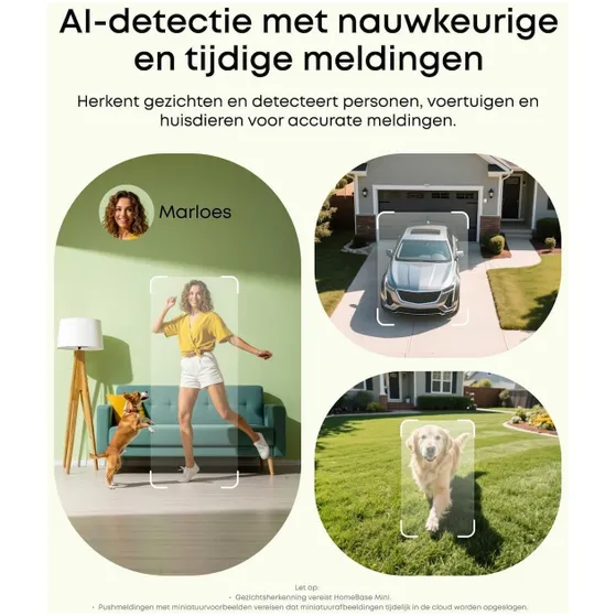 Eufy C35 4-Cam Kit Wit