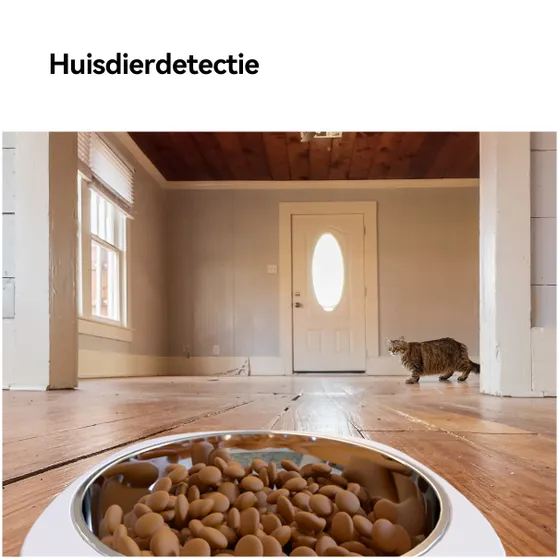 Imou Smart Pet Feeder 4L