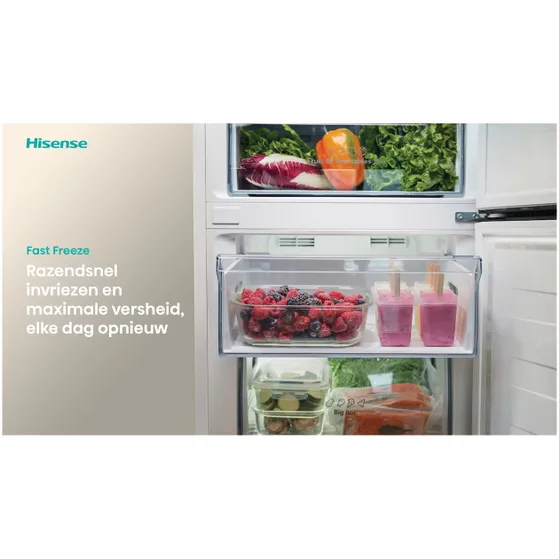 Hisense RB440N4ACC Zilver
