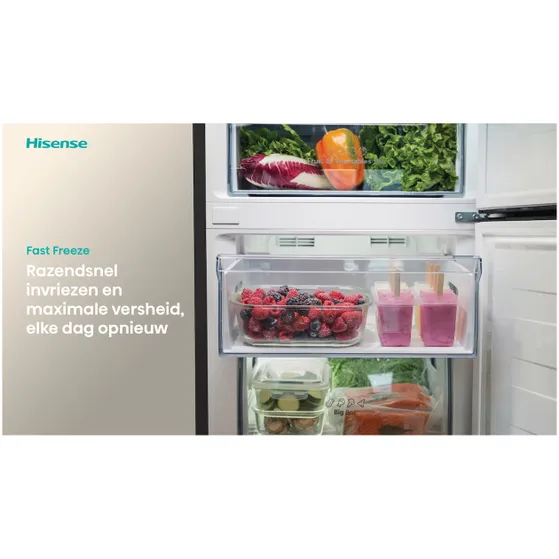 Hisense RB440N4AFC Zwart
