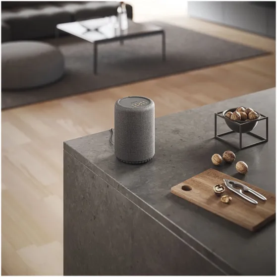 Audio Pro A10 W-Series Multiroom Donkergrijs