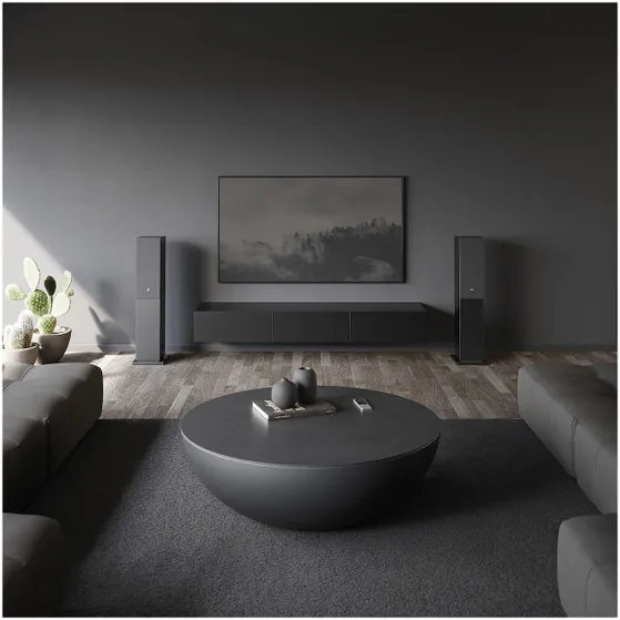 Audio Pro A48 W-Series Smart Multiroom 2x130W Zwart