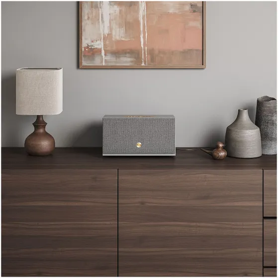 Audio Pro C10 W-Series Smart Multiroom Grijs