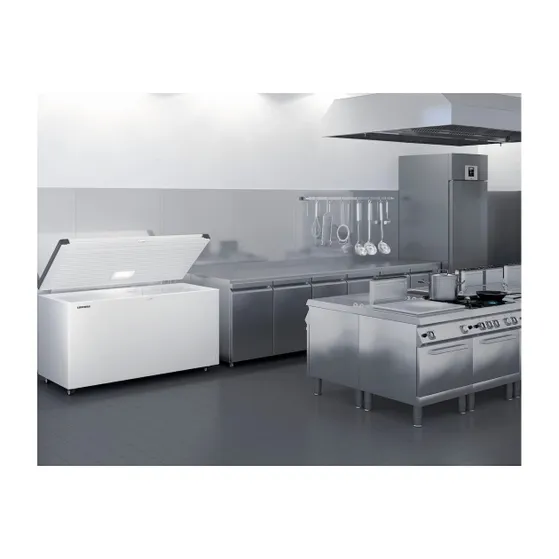 Liebherr EFL 3055-21