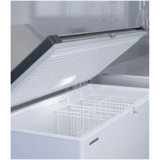 Liebherr EFL 3056-21