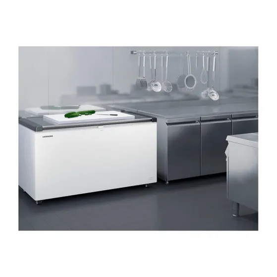 Liebherr EFL 3056-21