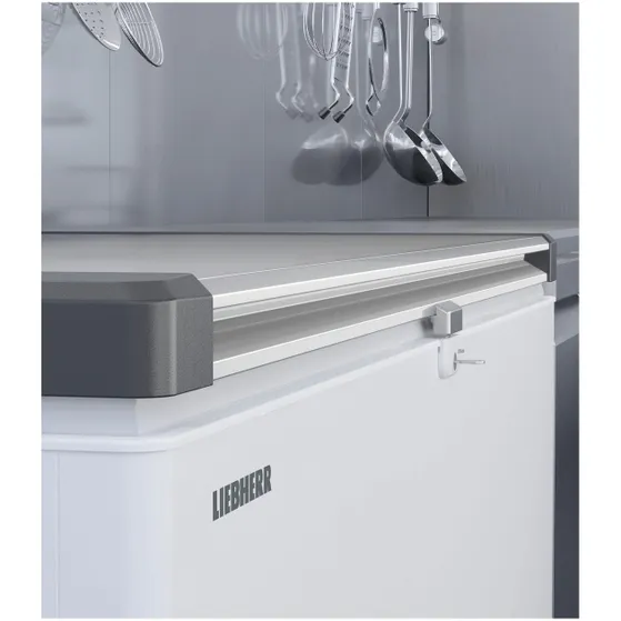 Liebherr EFL 4656-21