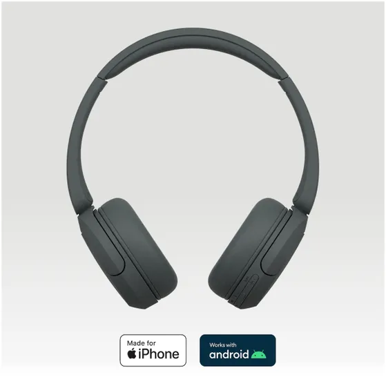 Sony WH-CH520 Zwart