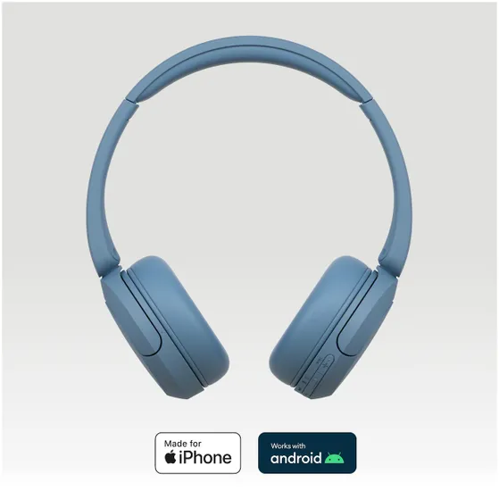 Sony WH-CH520 Blauw