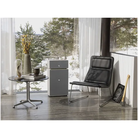Audio Pro Drumfire II W-Series Smart Multiroom Wit