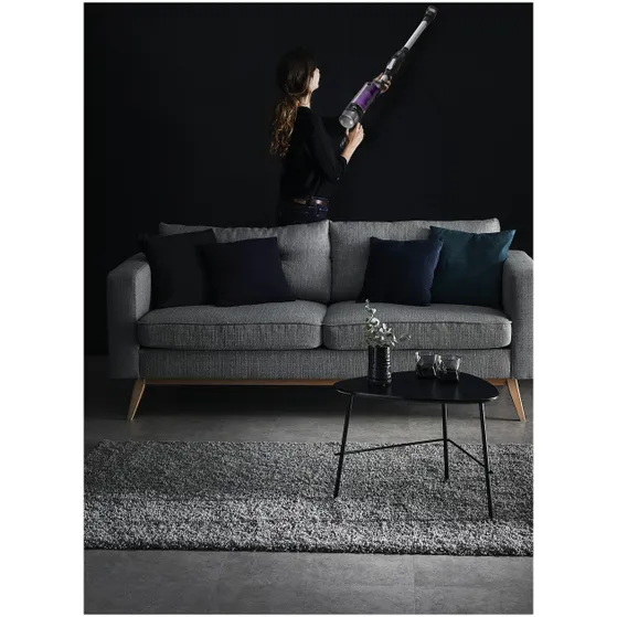 Rowenta RH2037 Zilver