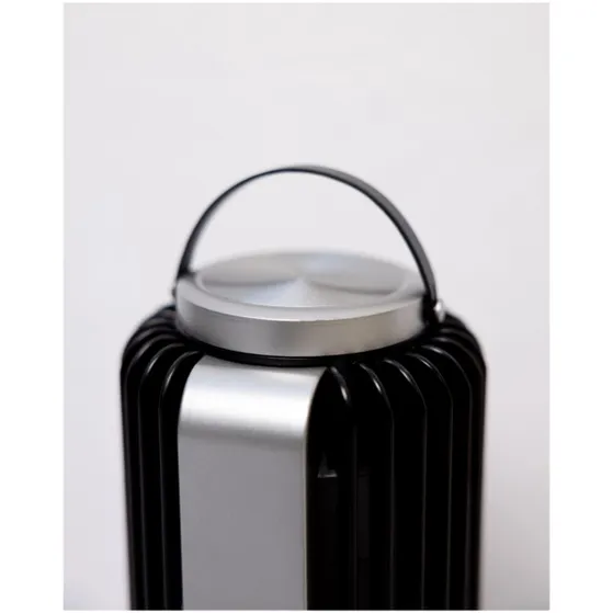 Stylies Auriga - Insect Trap