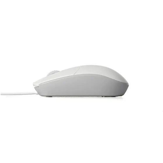 Rapoo N100 Optical Mouse Wit