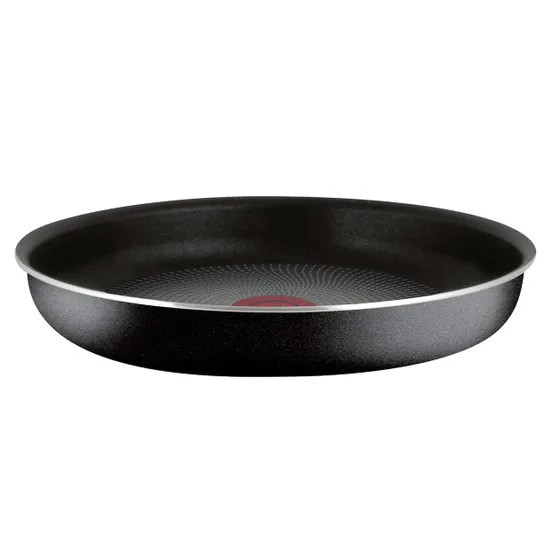 Tefal L20096 Ingenio Essential Steelpanset 18/20 + handgreep
