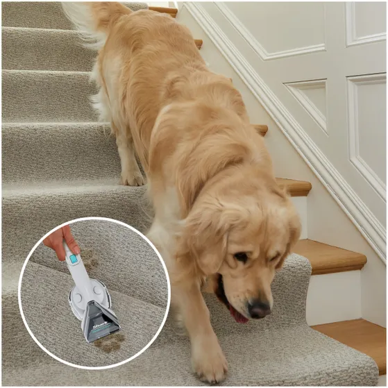 Shark StainStriker PX200EUT