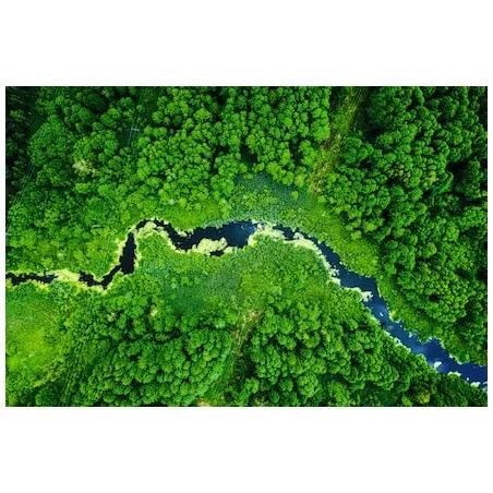 Miele Stofcassette HyClean Pure FJM