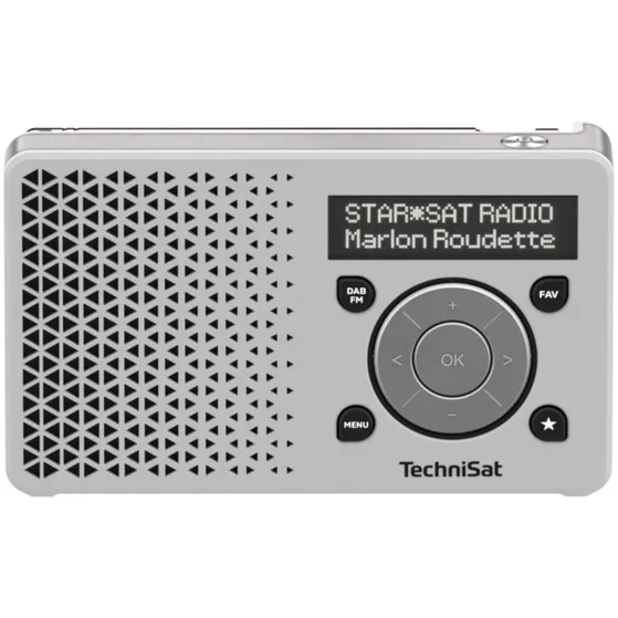 TechniSat Digitradio 1 Wit/zilver
