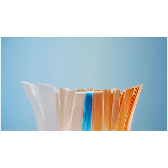 Philips HX9092/11 Zwart