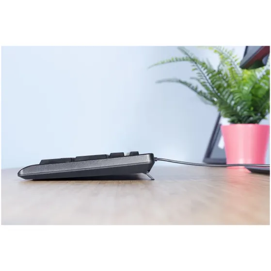 Trust TK-150 KEYBOARD US