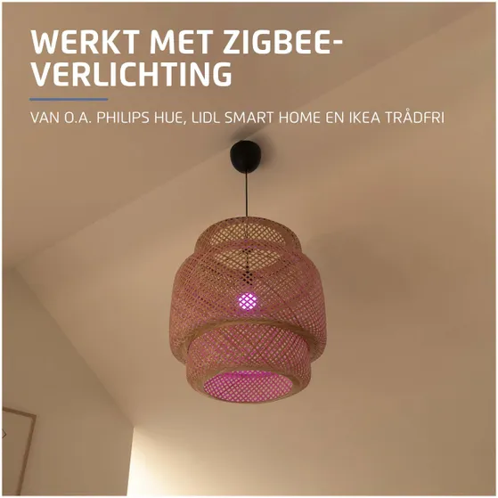 KlikAanKlikUit Control station Smart Bridge