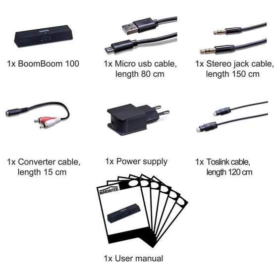 Marmitek BoomBoom 100 Zwart