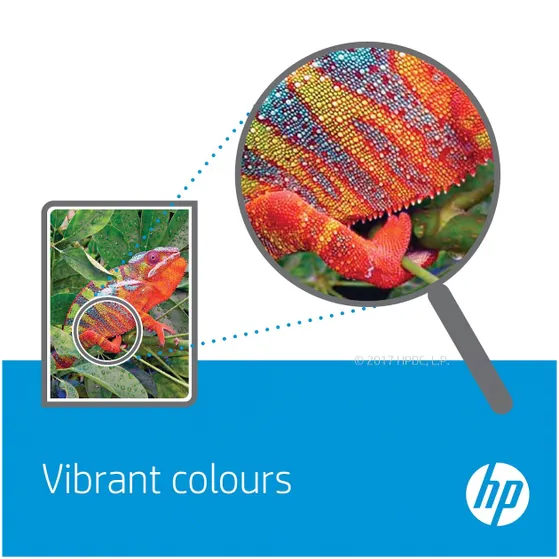 HP 304 Cartridges Combo Pack Multi-color