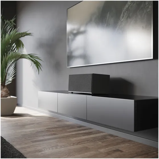 Audio Pro C20 Smart Multiroom Zwart