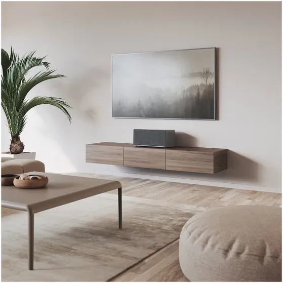 Audio Pro C20 Smart Multiroom Grijs