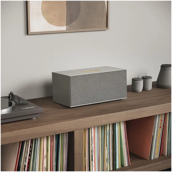 Audio Pro C20 Smart Multiroom Grijs