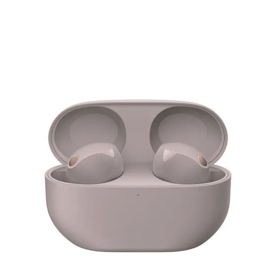 Sony WF-1000XM5 Roze