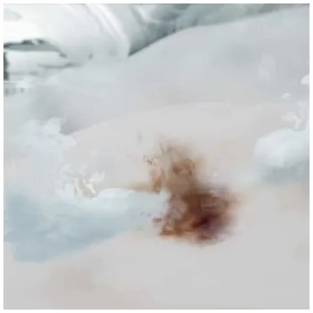 Miele UltraPhase 2 Edition125