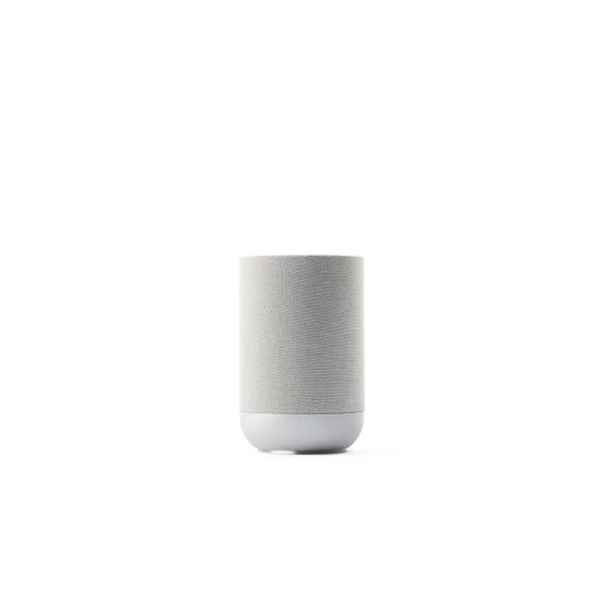 Denon HOME 200 Zilver