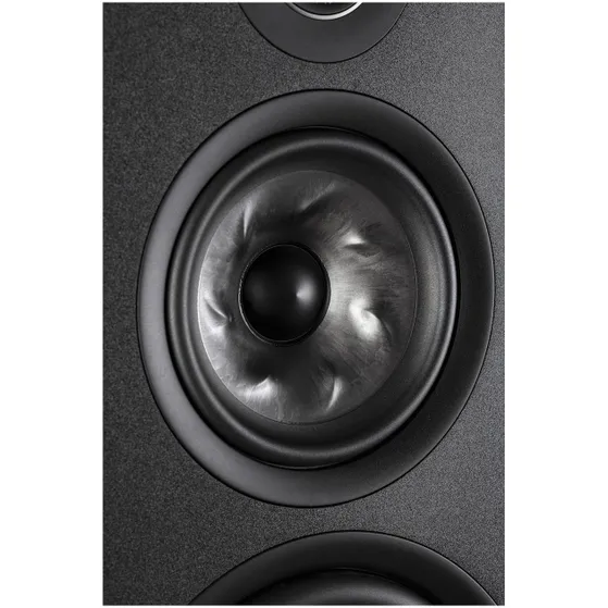 Polk R700 Prijs Per Stuk Zwart