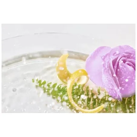 Miele Ultra Color set 2xUC 2xFB