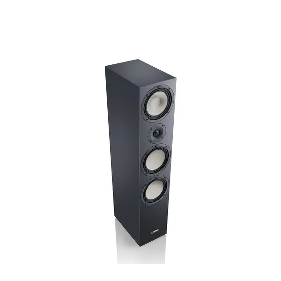 Canton GLE 80 / per paar Zwart