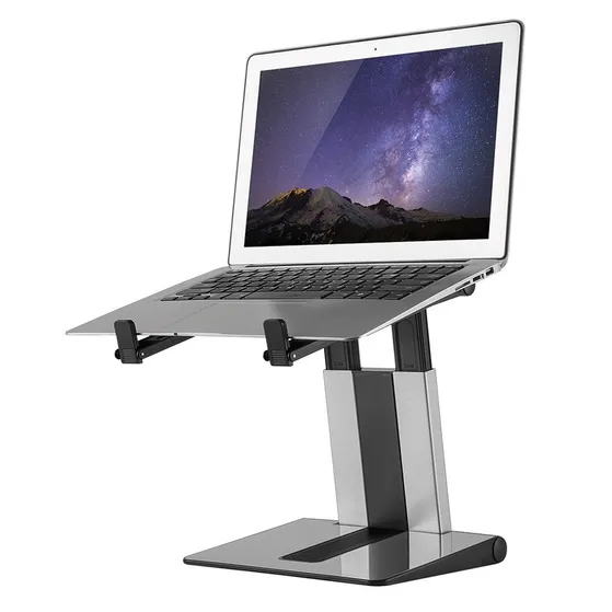 Neomounts NSLS200 Zilver