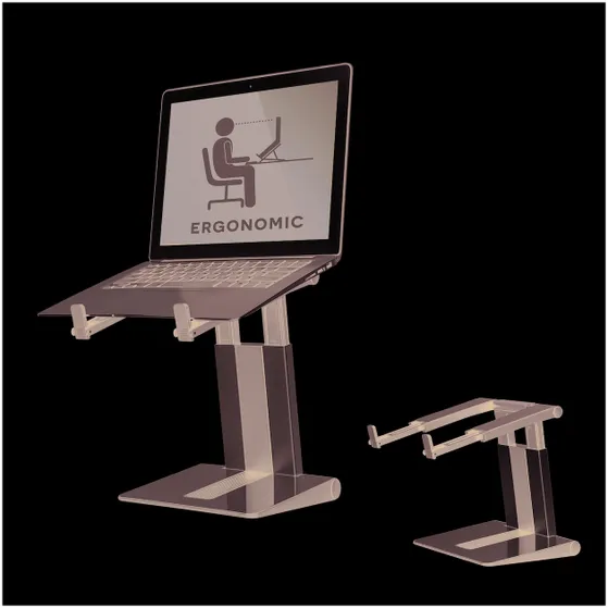 Neomounts NSLS200 Zilver