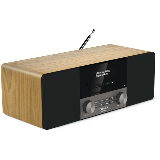 TechniSat Digitradio 3 Eiken